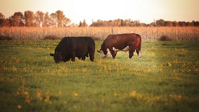Acuerdo para el fortalecimiento de la gestión ambiental