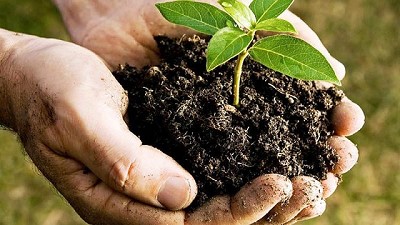 Argentina potencia el uso bioinsumos para fomentar una agricultura más sustentable