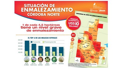 Qué hacer con los altos niveles de enmalezamiento al momento de la siembra