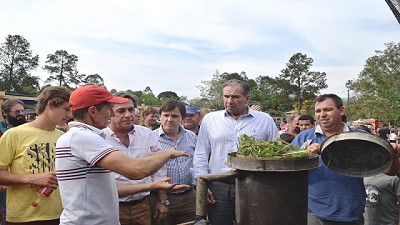 Impulso para la producción y el agregado de valor a la citronella en Misiones