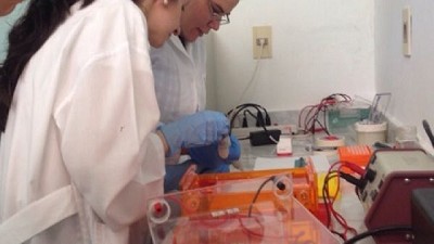 El INTA destina $ 7 M a proyectos tecnológicos