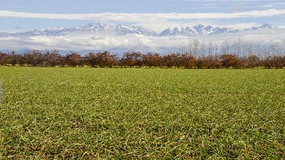 Agroindustria declaró la Emergencia Agropecuaria Nacional en las provincias de La Rioja, Mendoza y Salta