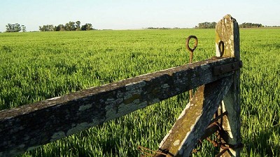 Se solicitará el certificado del censo agropecuario para trámites bancarios