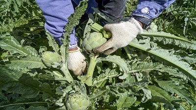 Se destinarán más de 11 millones de pesos para que 34 pymes mejoren la inserción en los mercados