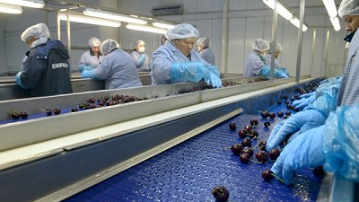 Certificación del primer envío de cerezas argentinas a China