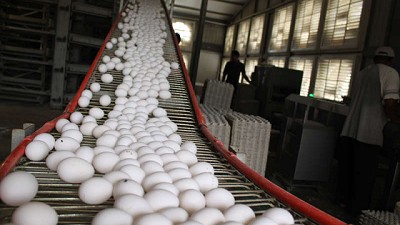 Cae 3.4% el consumo de huevos en el 2018