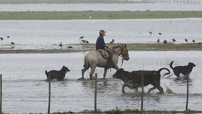 La desazón de productores del norte de Santa Fe por las inundaciones