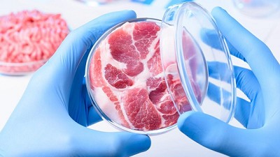 Carne artificial: un negocio no tan lejano