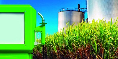 Existen 32 establecimientos habilitados para producir bioenergía en la Provincia