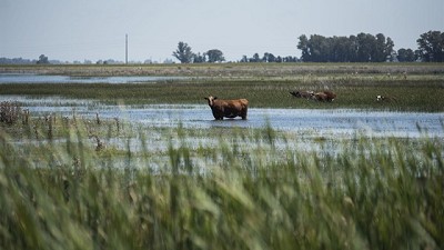 Inundaciones: calculan que se perderán ingresos por US$230 millones en el norte de Santa Fe