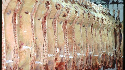 CAMyA apoya la formalización en la cadena de carnes