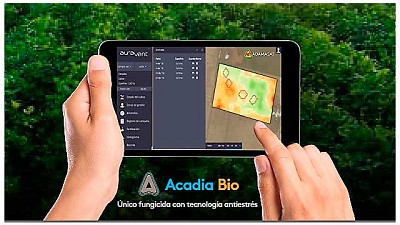 Presentan una innovadora plataforma digital para manejo de procesos