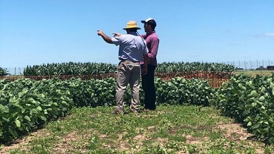 La nueva tecnología de Nidera llega al corazón de la expo