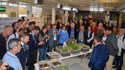 El Seedcare Institute LAS de Syngenta cumplió 4 años