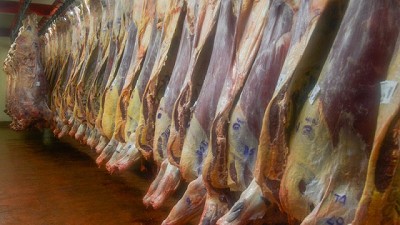 Agroindustria suspendió a más de 30 operadores de faena