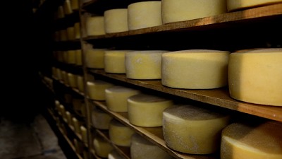 Las exportaciones de lácteos crecieron más del 38% en 2018