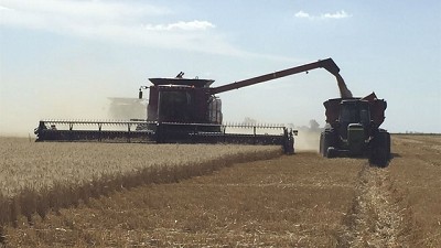 Con las lluvias, la cosecha aportará US$33.800 millones