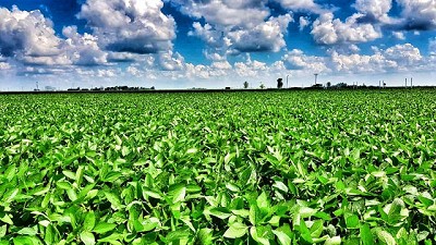 Bioceres es sponsor de AgroActiva porque 