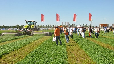 Forrajes, malezas, clima y economía