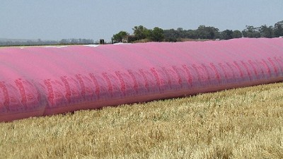 La Tecnología y el compromiso de IpesaSilo