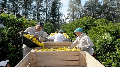 El Gobierno anunció un aumento en el mínimo no imponible para las economías regionales
