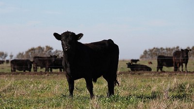 La relación de compraventa de hacienda, en valores poco frecuentes