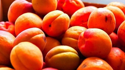 Bajas en la oferta del damasco en el Mercado Central 