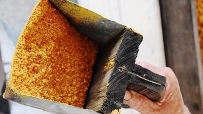 Sanidad e inocuidad para los productos de la Red Cañera de Misiones