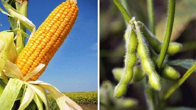 Los kilos están; ahora hay que construir margen 