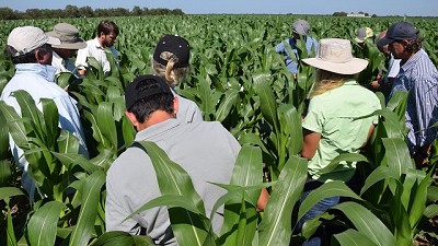 Un trabajo en red que eleva la vara de la agricultura