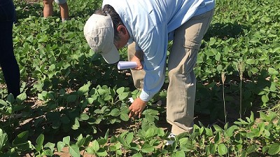 Arysta y UPL son una compañía y estarán en Expoagro
