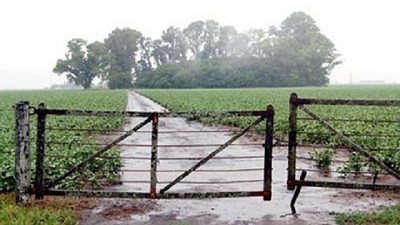Cosecha de soja en riesgo, se superarían las lluvias de marzo en los primeros 10 días del mes - GEA - BCR