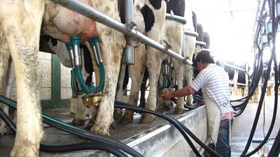  Mejoran la oferta de financiamiento al sector tambero en la Provincia