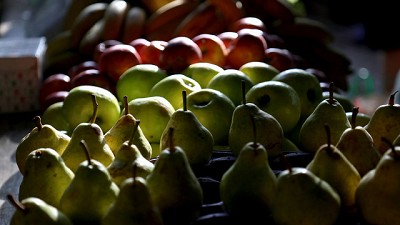 Nuevo Programa de Reconversión Tecnológica para la Competitividad en la Producción de Peras y Manzanas