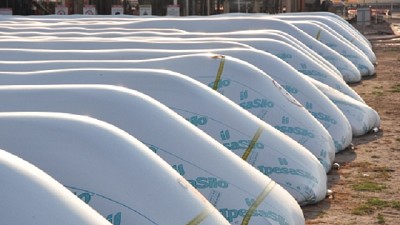 Poscosecha: pautas para lograr un almacenamiento seguro