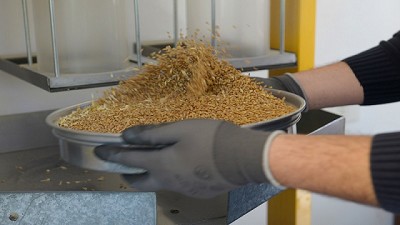 Clausuran Molinos Harineros de Trigo por no instalar los Controladores Electrónicos 