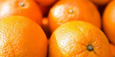 Acuerdo con San Juan para controlar mosca de los frutos y Lobesia botrana