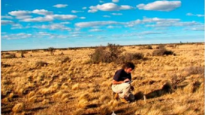 Utilizan el carbono del suelo para identificar plantas amenazadas
