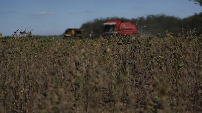 Ya está en marcha el relevamiento de la campaña gruesa