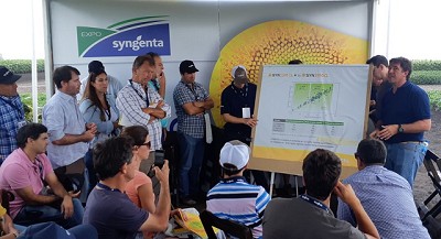 Syngenta presentó su potencial tecnológico en girasol, maíz y soja