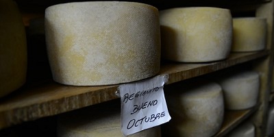 Se aprobó incorporar establecimientos lácteos de elaboración artesanal al Código Alimentario