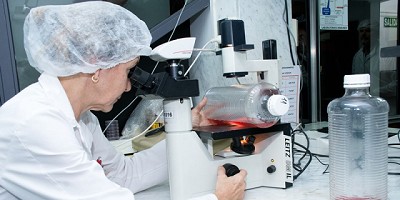 Argentina presentó ante la OMC la Declaración sobre Técnicas de Edición Génica del Consejo Agropecuario del Sur