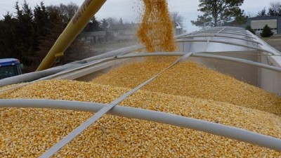 Actividades de control del sector industrial granario en todo el país