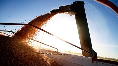 Nueva modalidad para la liquidación de contratos de granos en dólares