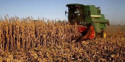 Buenos Aires creció un 17% en exportaciones de cereales durante el 2018