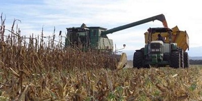 Recomendaciones del INTA para la cosecha de la campaña gruesa 2018-2019