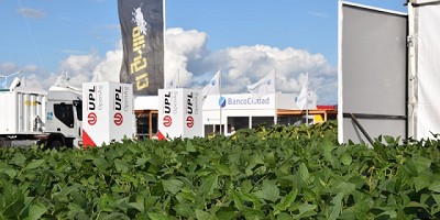 UPL lanzó Tridium, el primer fungicida multisitio de la Argentina