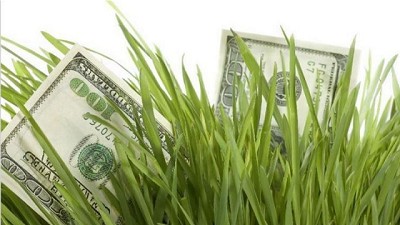 Estiman que dólares del agro cubrirán ventas diarias del Tesoro hasta agosto