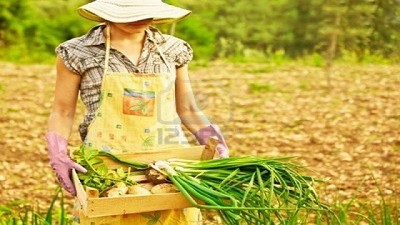 Hay que trabajar para disminuir la pobreza