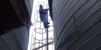 Controles de la industria del alimento balanceado en Salta y Córdoba